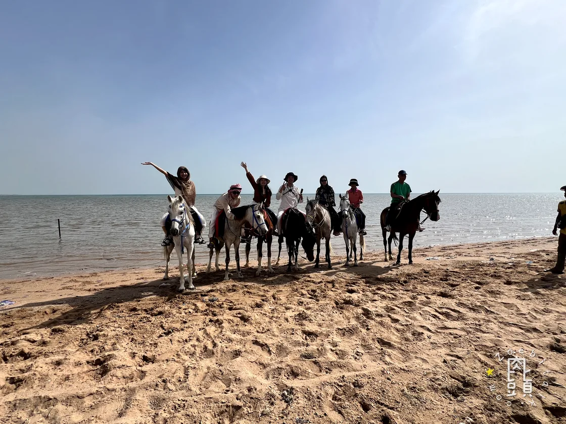 一家人在岸邊騎馬排開，海水還沒碰到馬蹄