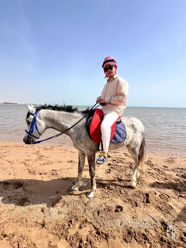 馬走進紅海後，海水已經淹過騎士的小腿