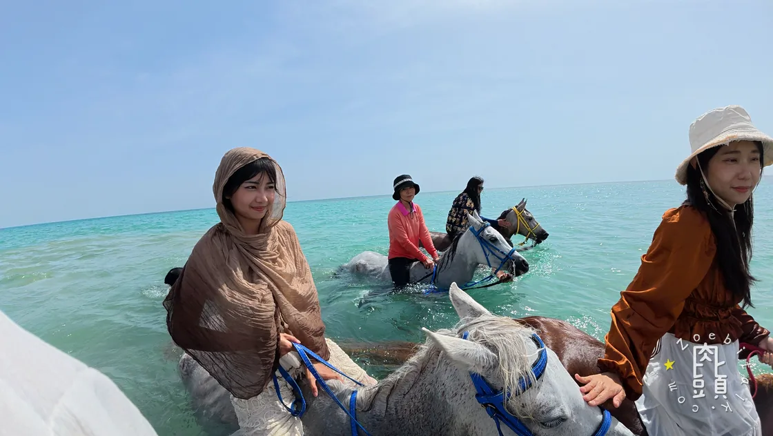 家人在馬背上靠近鏡頭，海水與馬群擠滿整個畫面