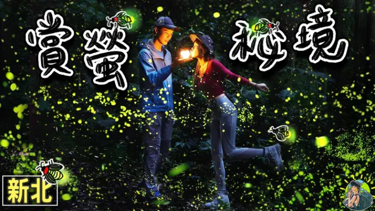 坪林賞螢步道 新北螢火蟲秘境景點 | 交通 | 適合季節
