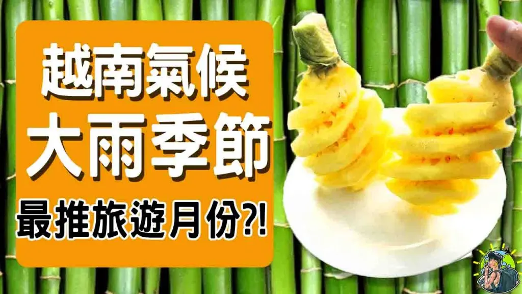 河內|下龍灣|峴港|胡志明| 越南最佳旅遊季節