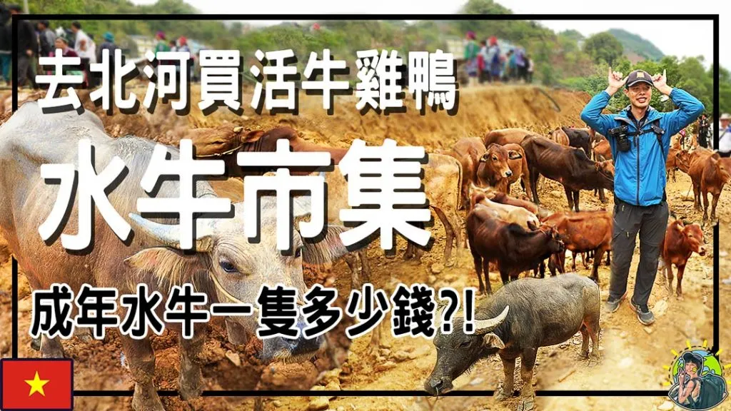越南 | 北河縣 | Can Cau Market | Bac Ha Market