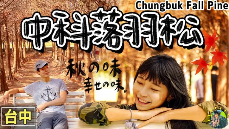 中科落羽松 | 台中網美IG拍照打卡地點 | 台中景點