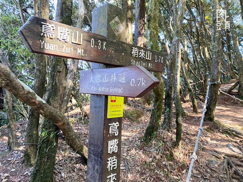 yuanzui shao lai trail 36
