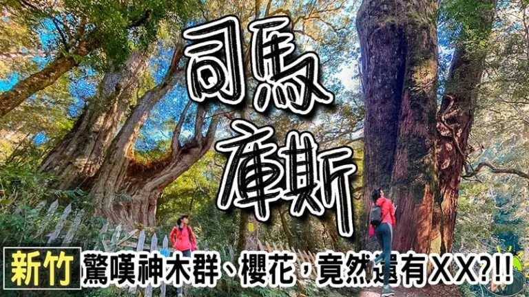 司馬庫斯登山步道  | 住宿 | 交通 | 天氣 | 櫻花 & 楓葉 季節