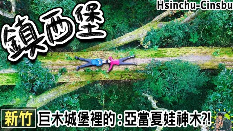 鎮西堡B區神木群  | 住宿 | 交通 | 天氣 | 櫻花 & 楓葉 季節