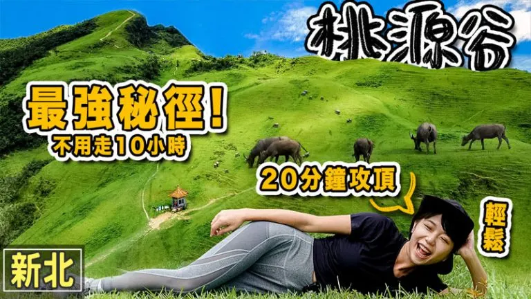 桃源谷登山步道 4條路線怎麼選 |交通 | 內寮線 | 新北景點