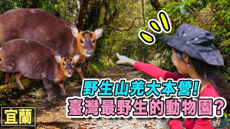 福山植物園 | 入園申請 | 交通 | 宜蘭景點