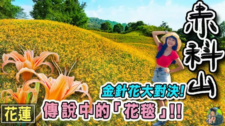 赤柯山金針花海 | 季節 | 交通 | 跟團 |花蓮景點