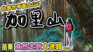 加里山登山步道 各路線怎選? |GPX | 交通 | 苗栗景點