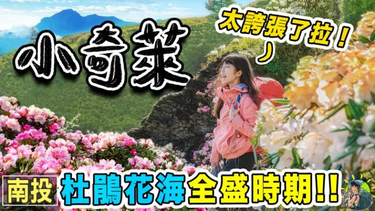 小奇萊登山步道 合歡山賞杜鵑大爆發 |GPX | 交通 | 南投景點